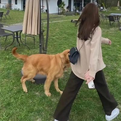 看不见的黑手